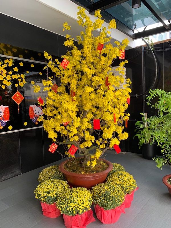 Chúc Tết 2018 IMM Group