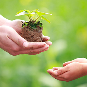 tâm từ bi là vô lượng