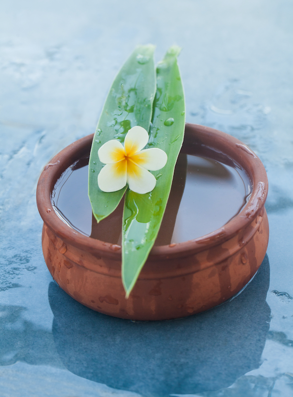 tôi được sinh ra để làm gì?