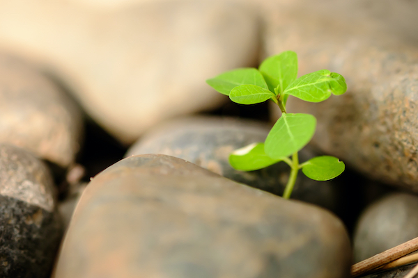 Bài học rút ra từ khủng khoảng khó khăn trong Covid-19